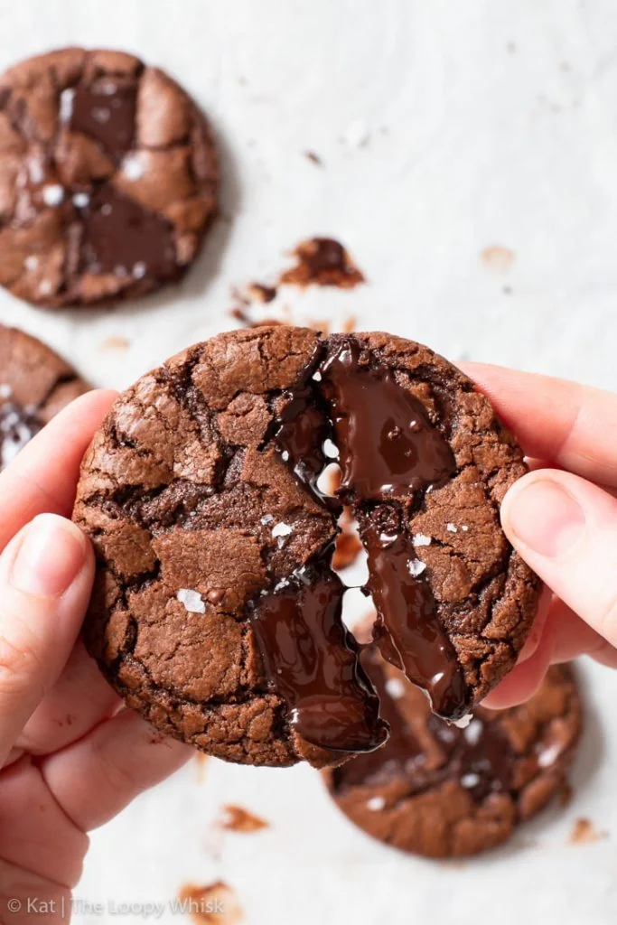 Biscotti doppio cioccolato, ultra-cioccolatosi