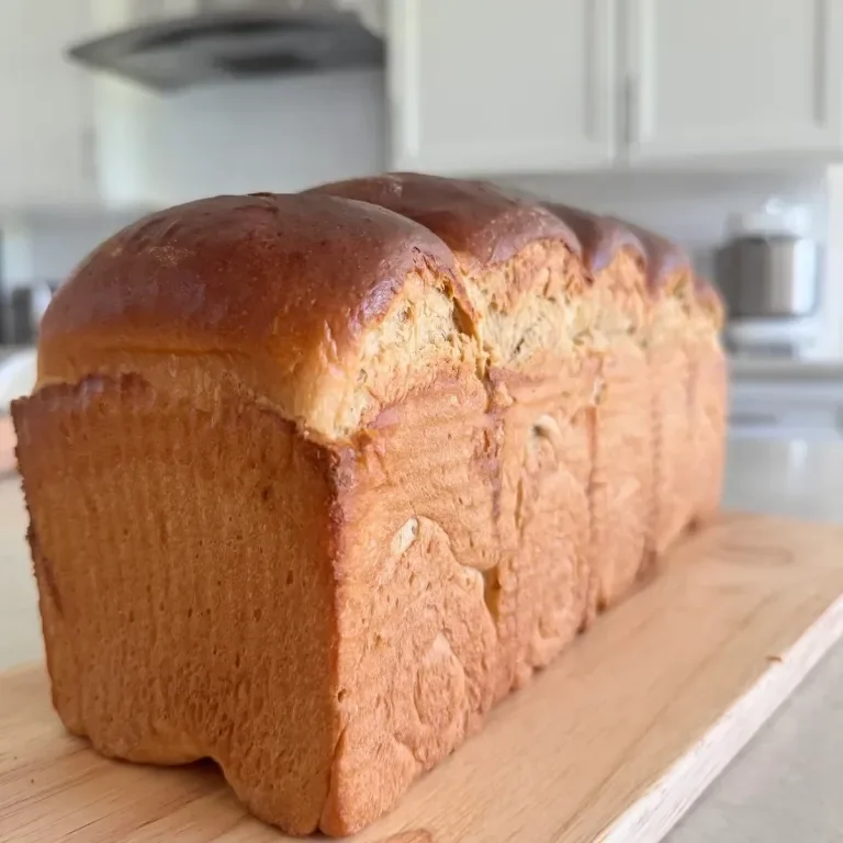 Brioche integrale senza glutine